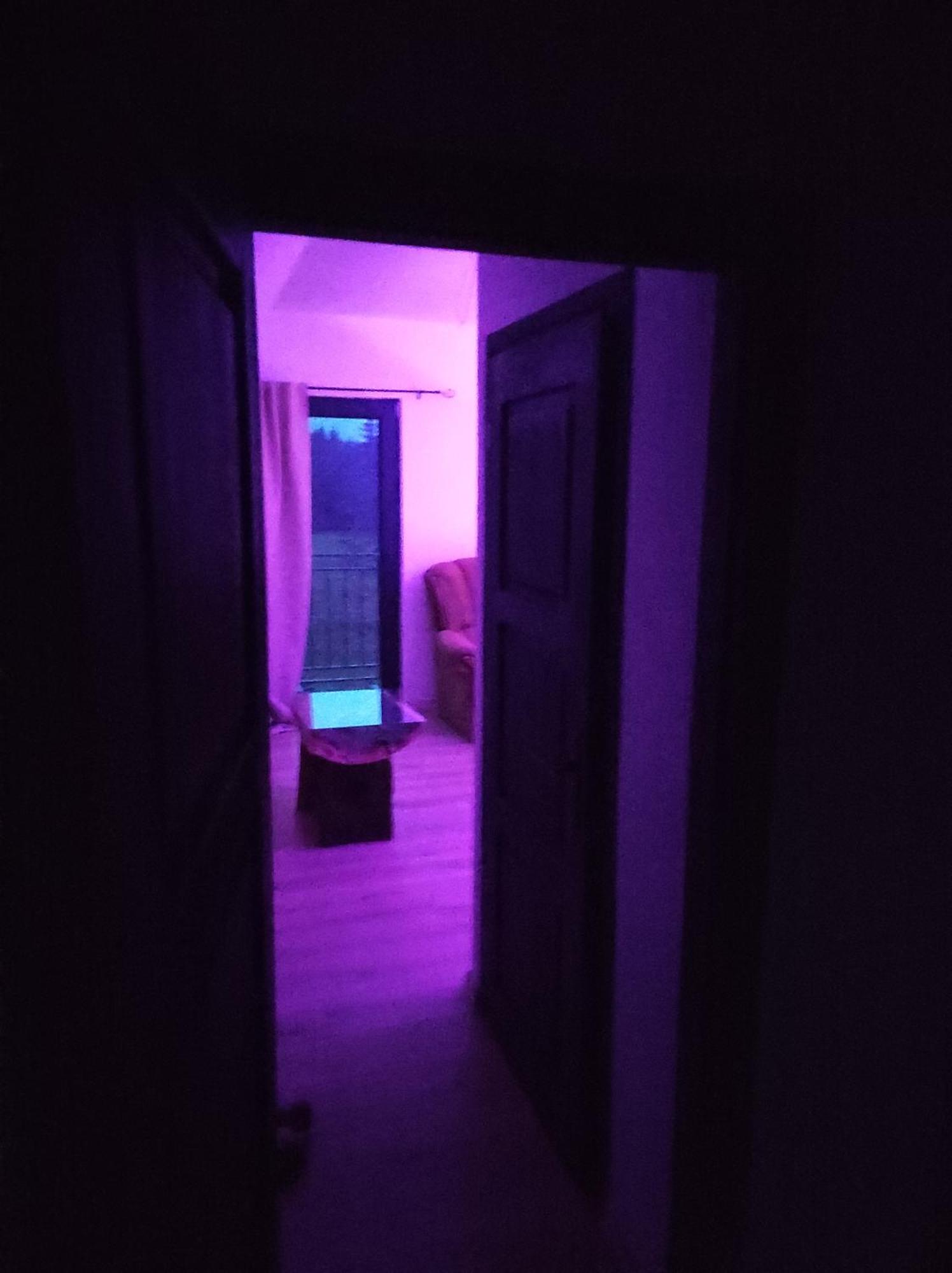 Holiday Nature House 伊兹沃阿莱 外观 照片